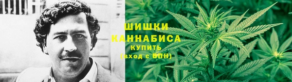 гидра Богданович