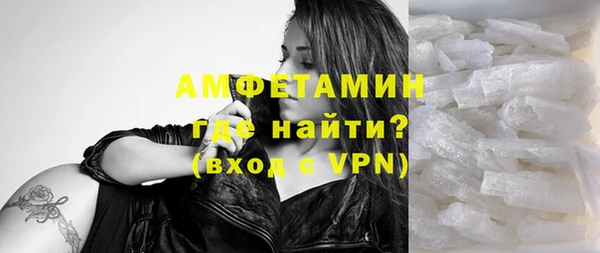 гидра Богданович