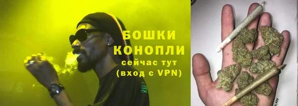 гидра Богданович