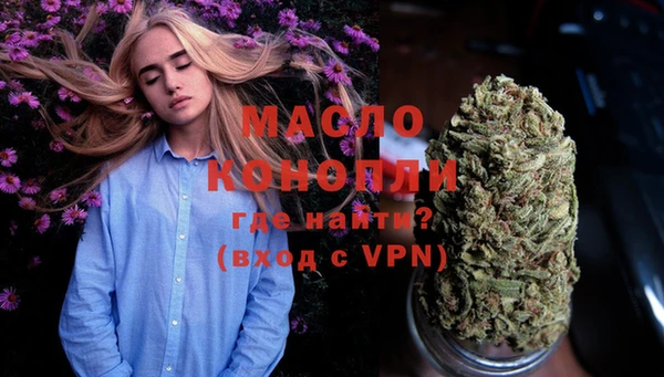 гидра Богданович