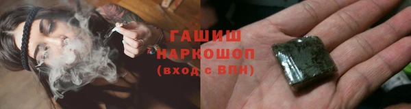 гидра Богданович