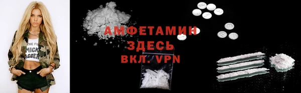 гидра Богданович