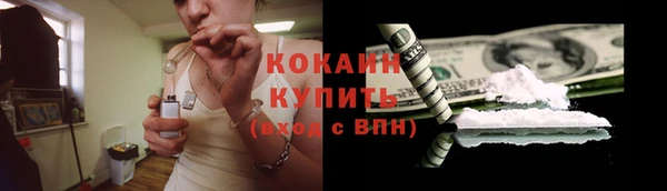 гидра Богданович