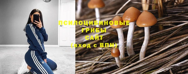 гидра Богданович