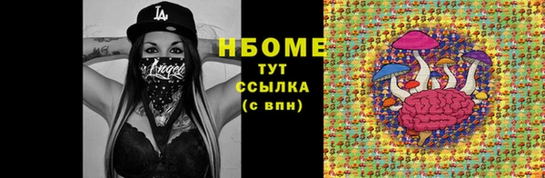 гидра Богданович