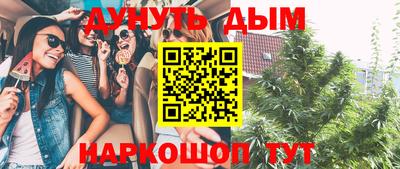 прущие грибы Братск
