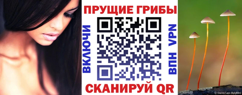 Галлюциногенные грибы мухоморы  магазин продажи наркотиков  Вязники 