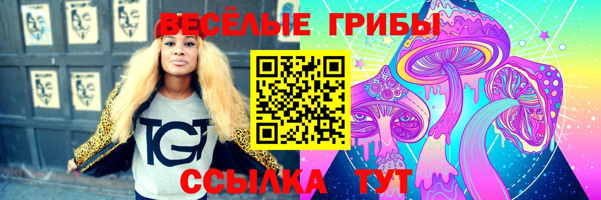 Галлюциногенные грибы Psilocybine cubensis  Вход с VPN  где купить   Вязники 